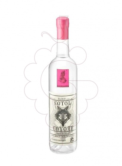Photo Eau-de-vie Sotol blanco coyote chihuahua
