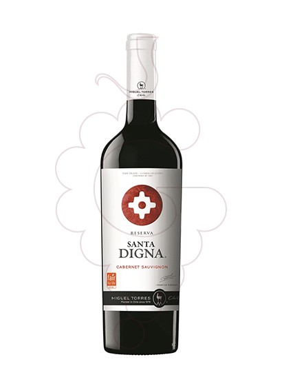 Photo Sta. Digna Negre Sauvignon vin rouge