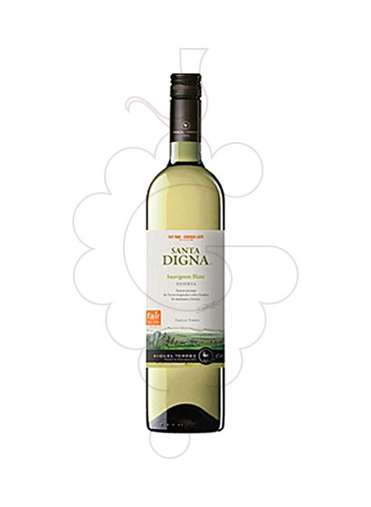 Photo Sta. Digna Xile Blanc Sauvignon vin blanc