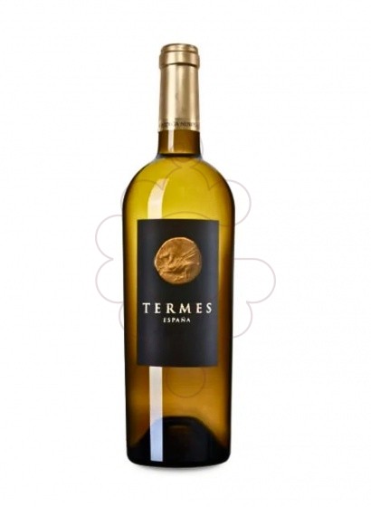 Photo Termes Blanc vin blanc