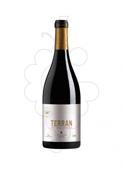 Photo Terran de Vallobera vin rouge