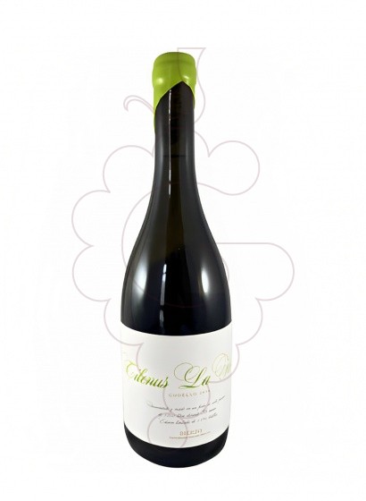 Photo Tilenus La Florida Godello vin blanc