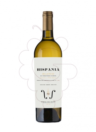 Photo Territorio Luthier Hispania Blanc vin blanc