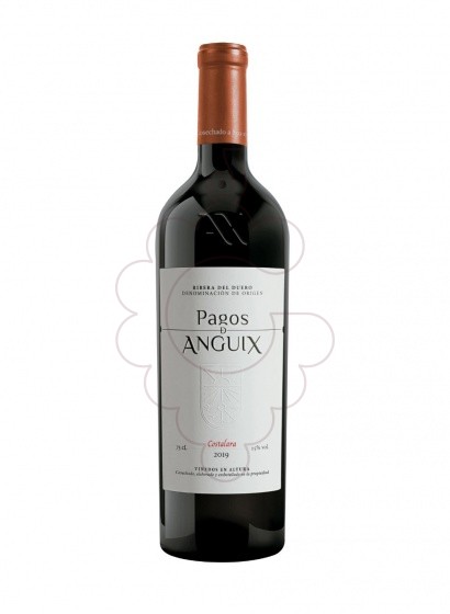 Photo Pagos de Anguix Costalara vin rouge