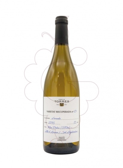 Photo Torres Forcada vin blanc