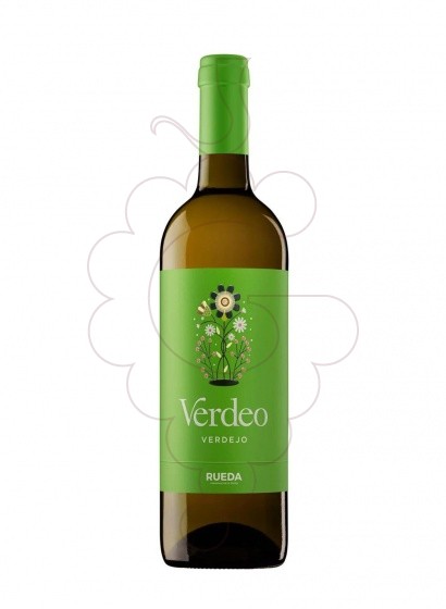 Photo Torres Verdeo Blanc  vin blanc