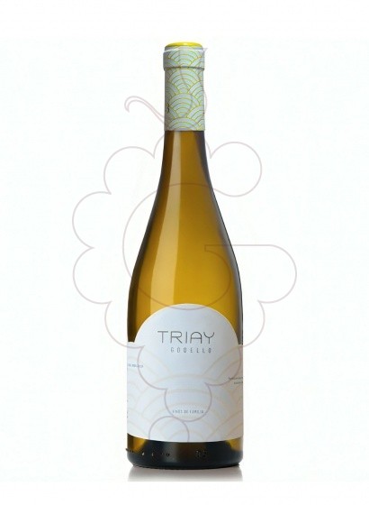 Photo Triay Godello vin blanc