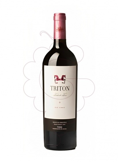 Photo Triton Tinta de Toro Magnum vin rouge