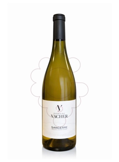 Photo Vacher Sancerre vin blanc