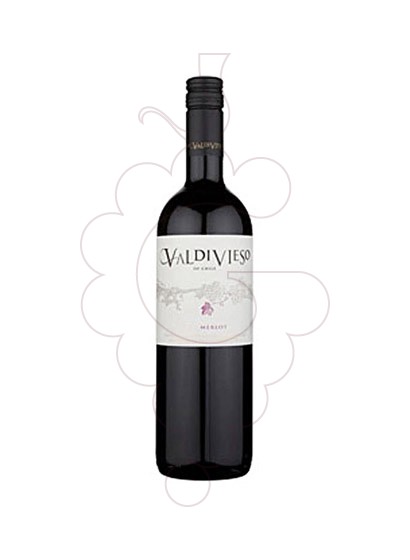 Photo Valdivieso Premium Merlot vin rouge