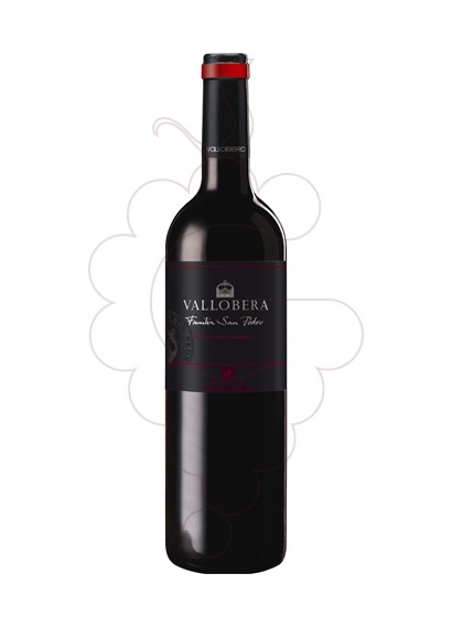 Photo Vallobera Maceración Carbónica vin rouge