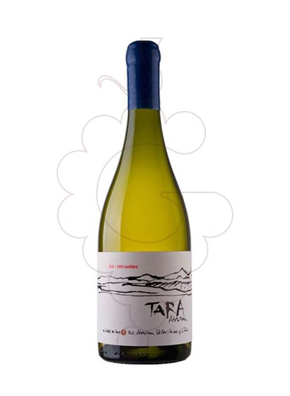 Photo Ventisquero Tara White Wine 1 vin blanc