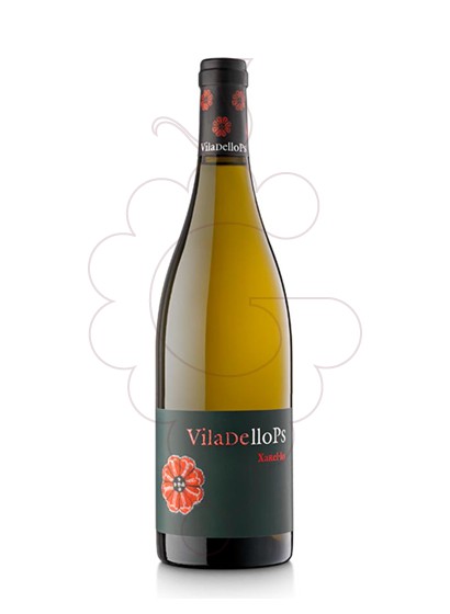 Photo Viladellops Xarel·lo vin blanc