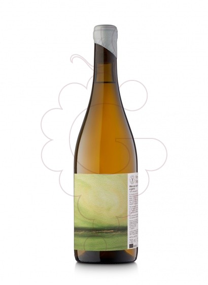 Photo Vinyes Singulars Macabeu vin blanc