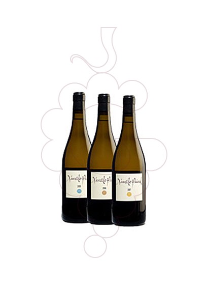 Photo Xarel.lo Pairal 3 amp Cata Vertical 05-06-07 vin blanc