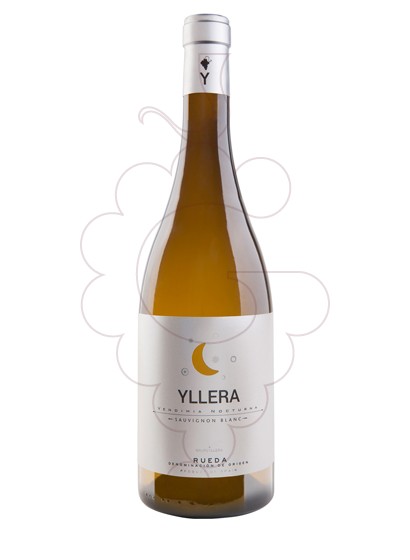Photo Yllera Sauvignon Blanc vin blanc
